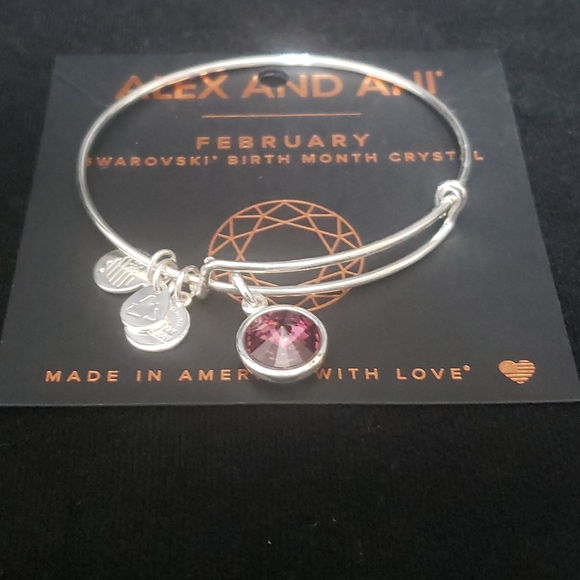 NWOT Alex & Ani RS February Swarovski Bracelet - Picture 7 of 11